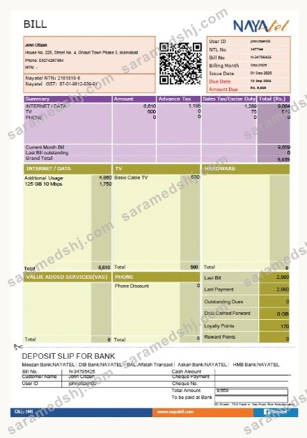 Pakistan NAYAtel utility bill template in Word and PDF formats